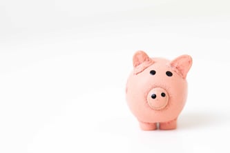 Piggy Bank Business Insurance